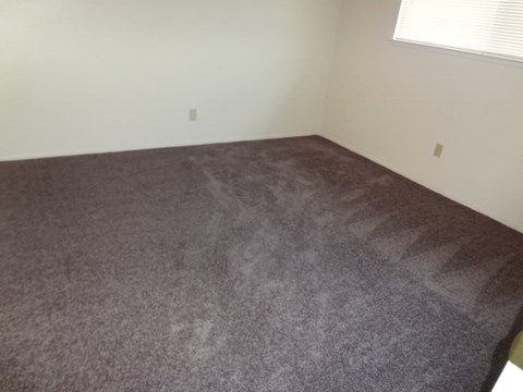 A carpet with a greyish tone is spread on the floor.