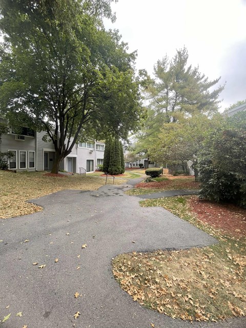 A tree-lined street with a house on the left.