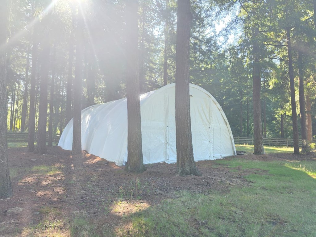 A white tent is set up in a wooded area.