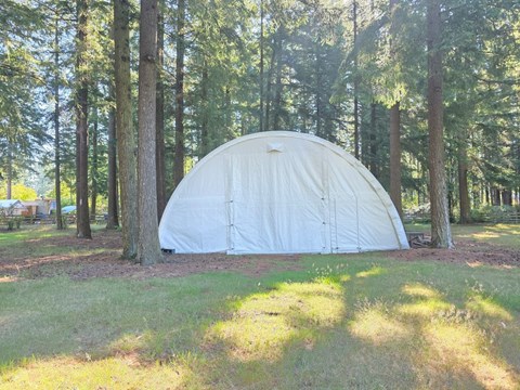 A white dome tent is set up in a grassy area surrounded by trees.