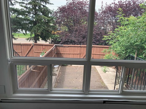 A view from a window looking out to a backyard with a wooden fence.