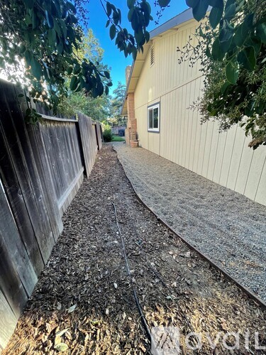 A narrow pathway between two wooden fences.