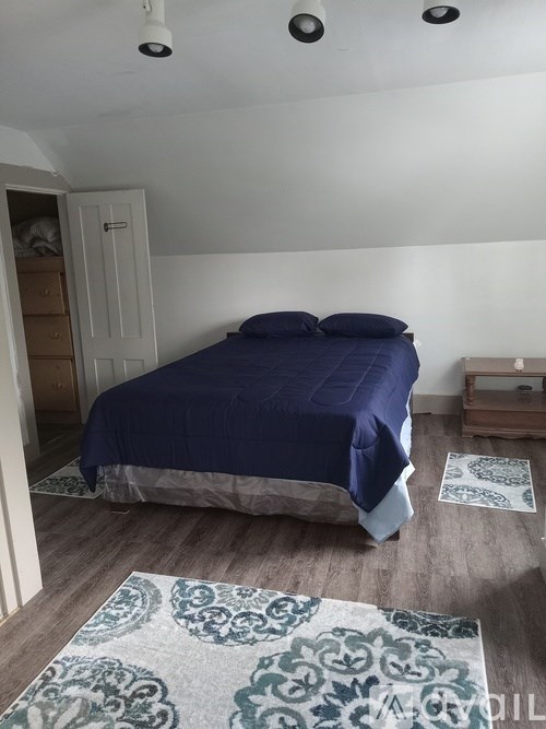 A bedroom with a bed, a dresser, and a rug.