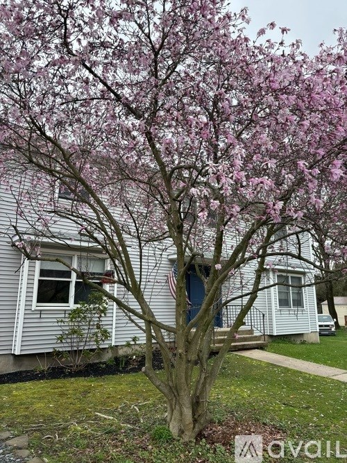 A tree with pink blossoms in front of a house.