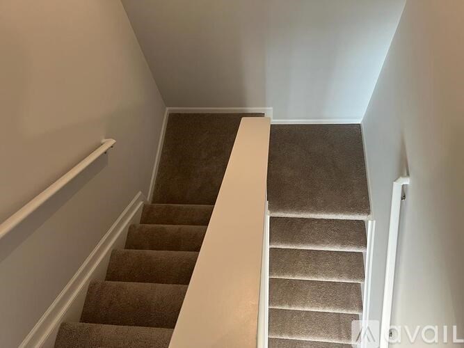 A staircase with a carpeted runner and white risers.