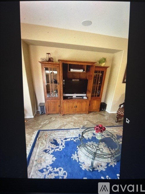A blue rug with a floral pattern is on the floor in front of a wooden entertainment center.