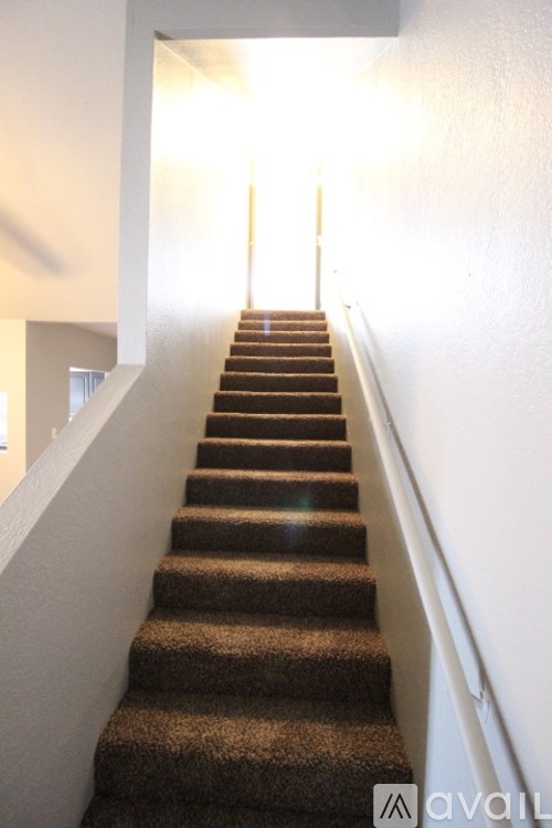 A staircase with a carpeted runner and white walls.