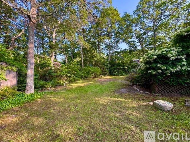 A lush green garden with a pathway and trees.
