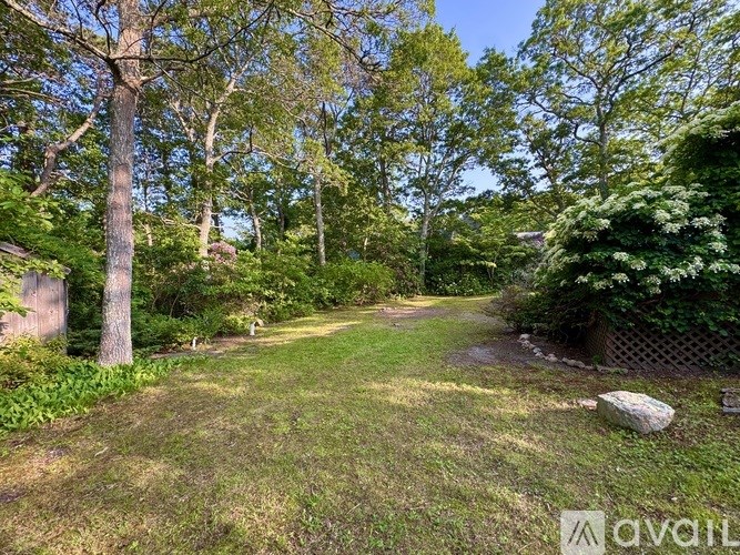 A lush green garden with a pathway and trees.
