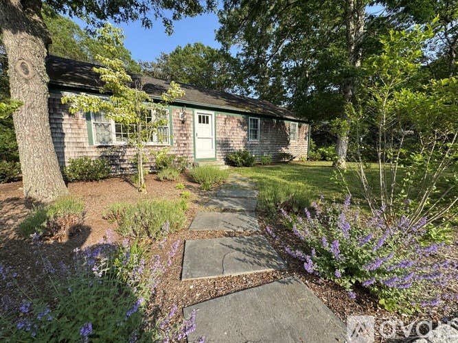 A small house with a green door is surrounded by a garden with purple flowers.