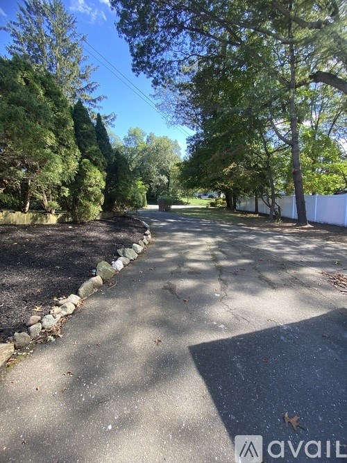 A tree-lined street with a white fence on the right.