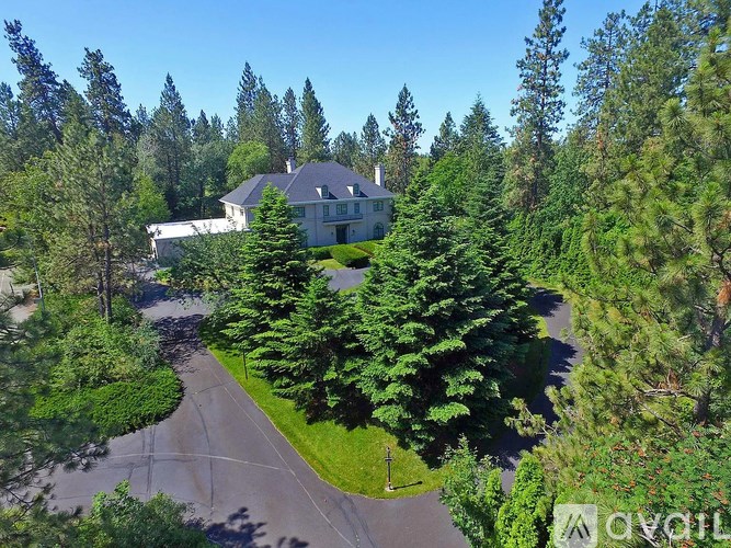 A house surrounded by trees in a sunny day.