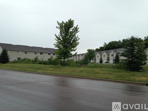 A wet street with a tree and houses in the background.