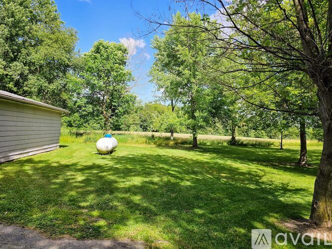 A grassy yard with trees and a shed.