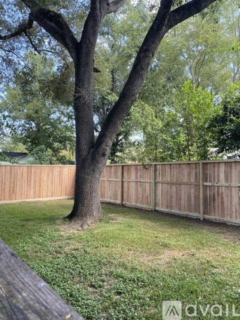 A tree in a yard with a wooden fence.