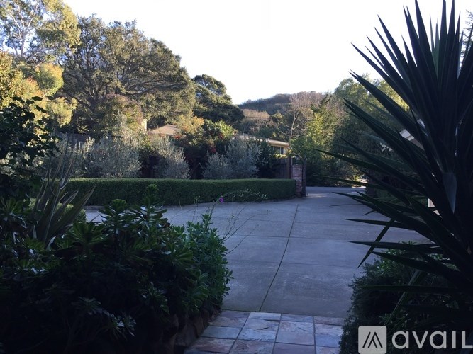 A garden with a pathway and a house in the background.