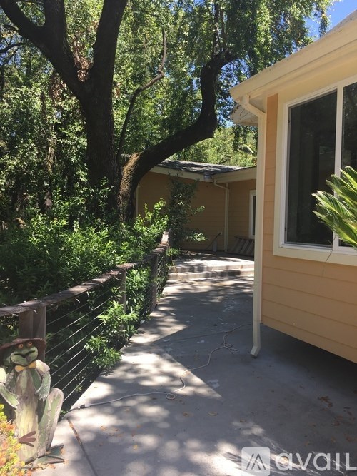 A small tree is in front of a house.