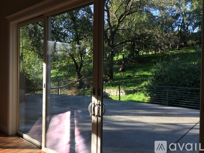 A view from inside a room looking out through a glass door to a green outdoor area.