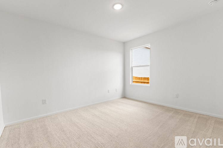 A spacious room with beige carpeting and a window with blinds.