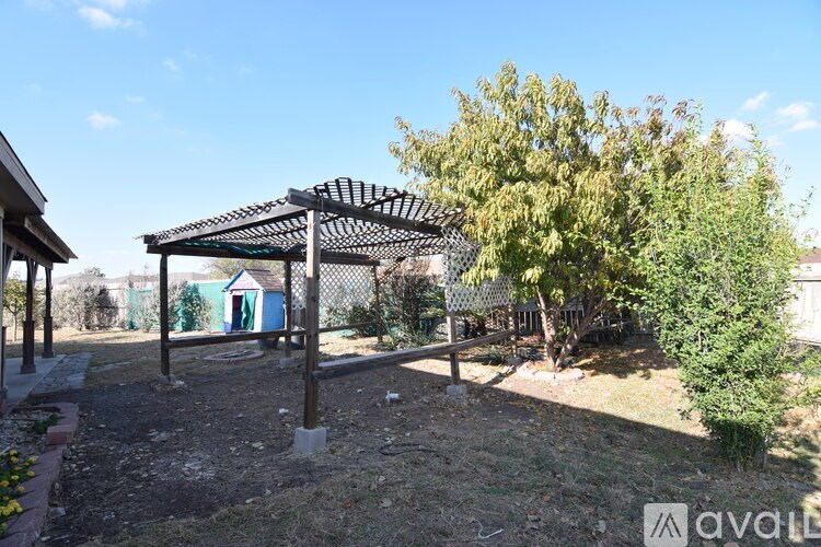 A backyard with a pergola and a tree.