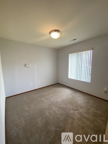 A room with a door, a plant, and a cabinet.