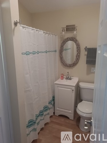 A small white bathroom with a toilet, sink and shower curtain.