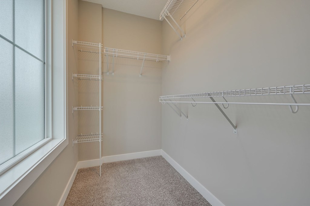 Empty room with white shelves and a carpeted floor.