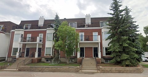 A row of townhouses with a tree in front of them.