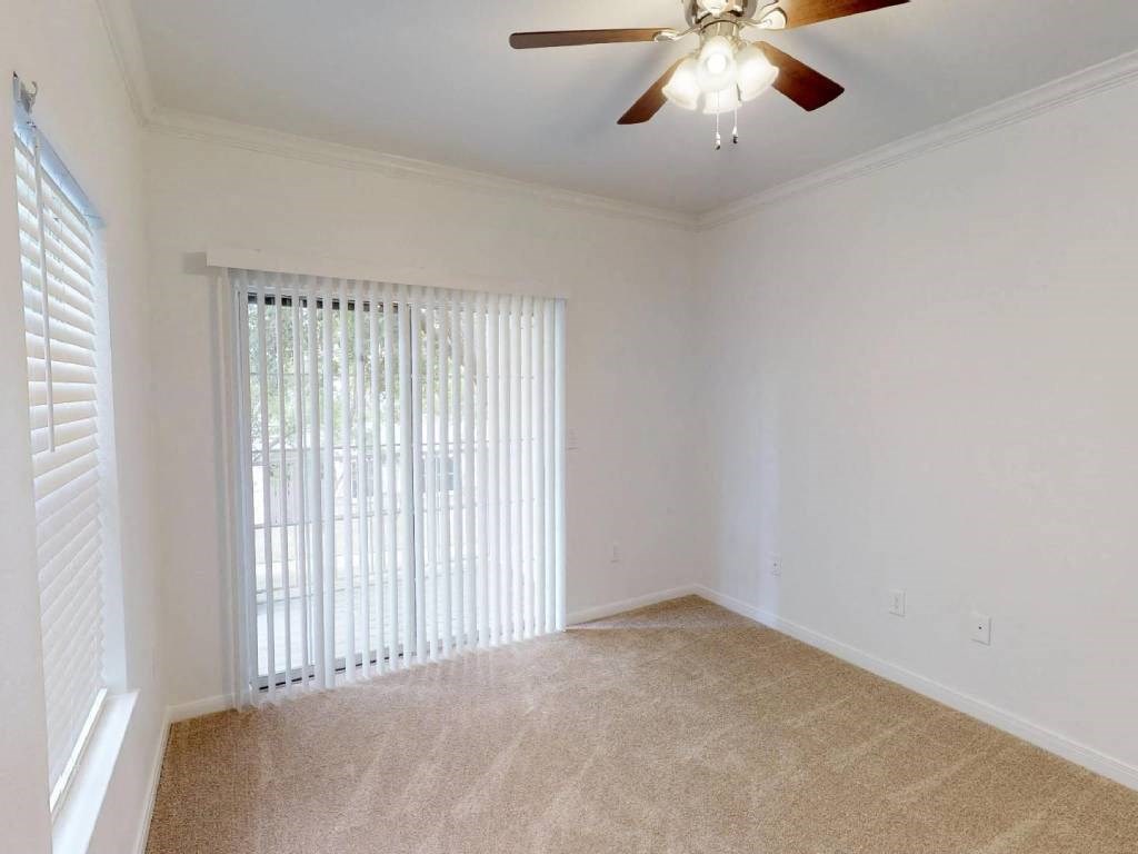 A room with a ceiling fan and carpeted floor.