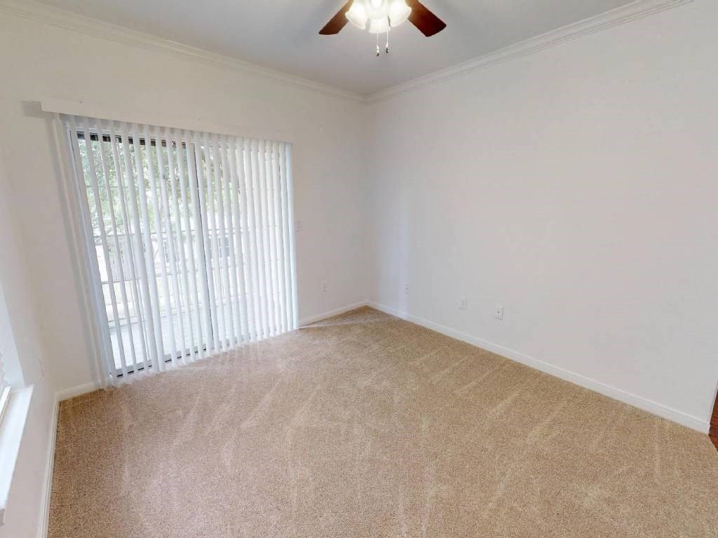 A room with a carpeted floor and a ceiling fan.