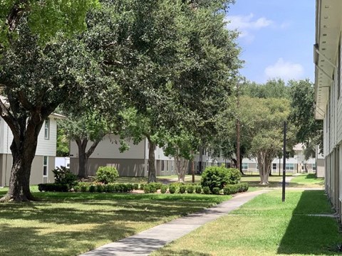 A tree-lined pathway in a grassy area with a building in the background.