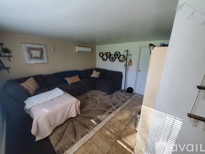 A living room with a couch and a chair.