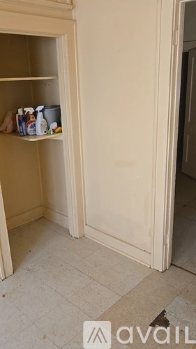 A kitchen pantry with a white door and a white shelf with cleaning supplies on it.