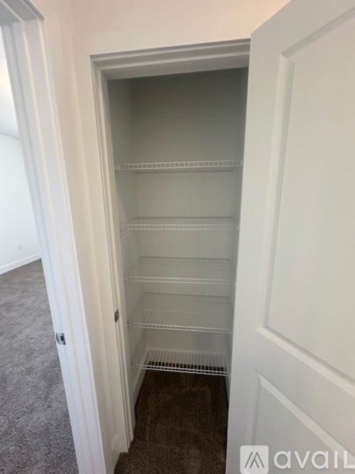 A white door with a shelving unit inside.