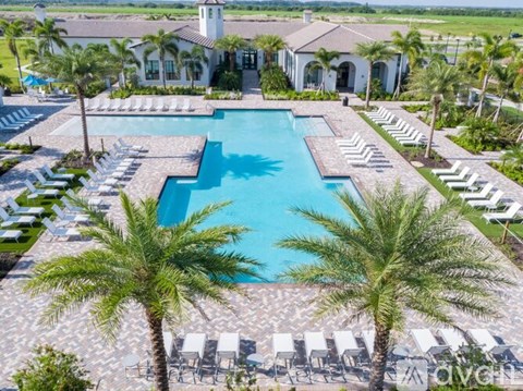 A large swimming pool surrounded by palm trees and lounge chairs.