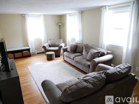 A living room with a grey couch and a television.