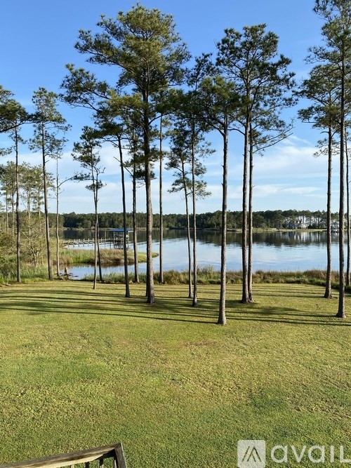 A row of trees in front of a body of water.