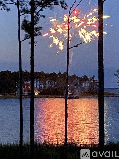 A fireworks display over a body of water with trees in the foreground.