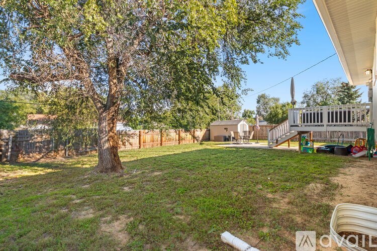 A tree in a yard with a house and fence in the background.