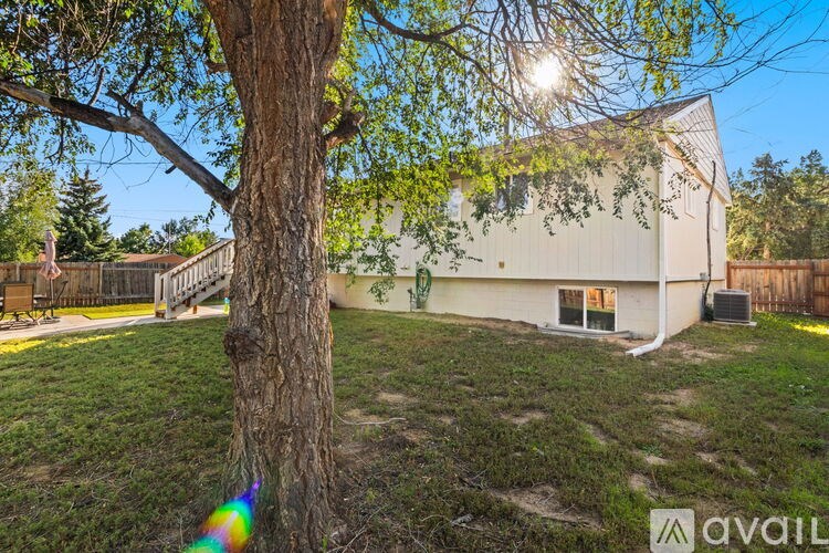 A tree stands in front of a house with a yard.