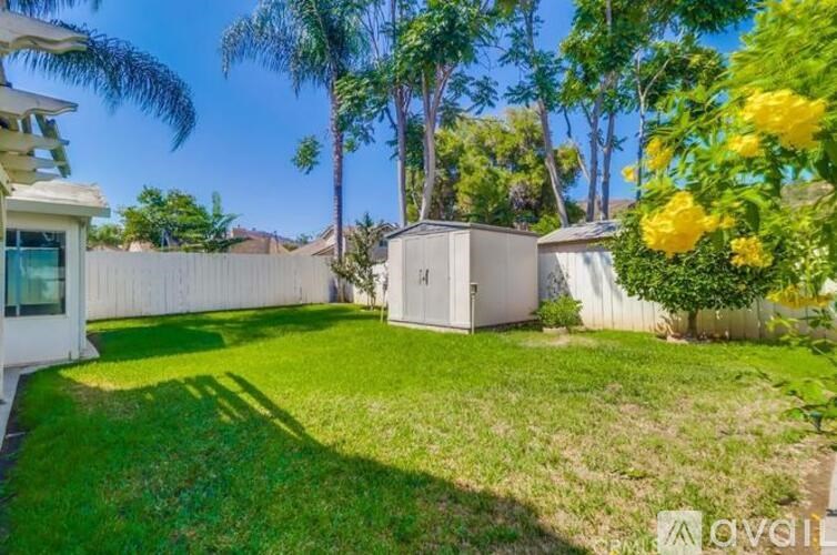 A sunny backyard with a palm tree and a shed.