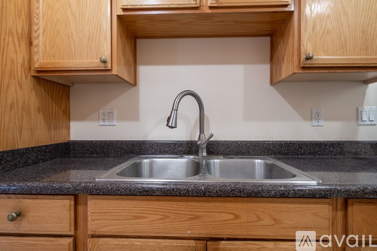 A kitchen sink with a faucet and wooden cabinets above it.