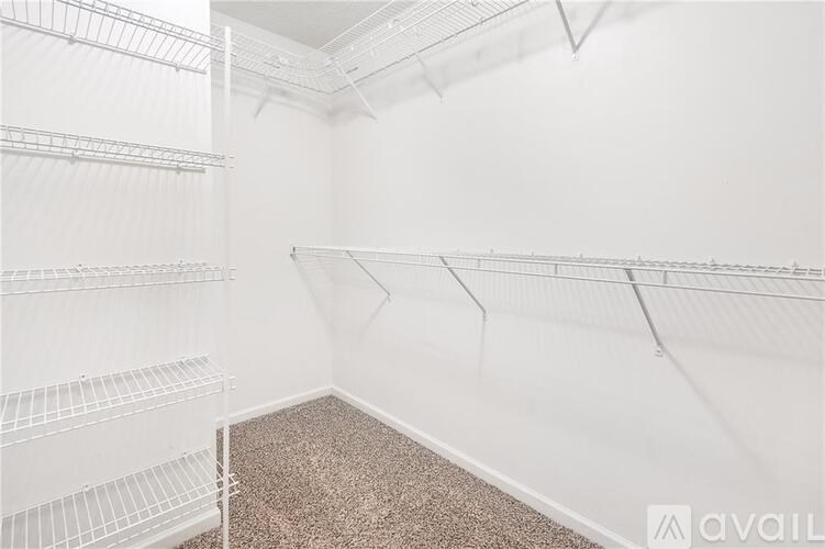 Empty white shelves in a room with carpeted floor.