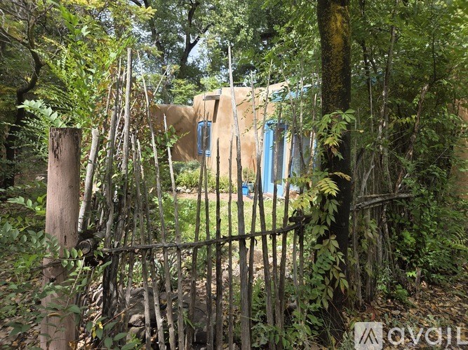 A small building with a blue door is surrounded by trees and vegetation.