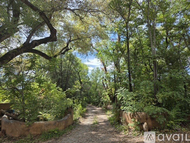 A pathway surrounded by green trees and plants.