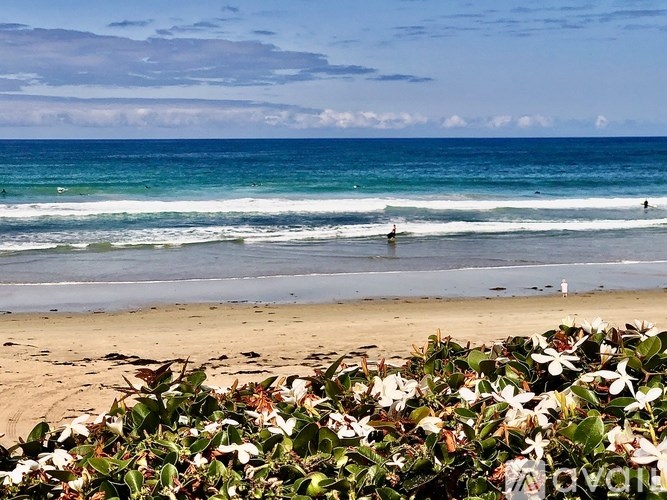 A beach scene with people in the water and a cluster of white flowers in the foreground.