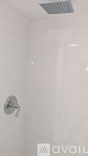 A shower head in a white tiled bathroom.