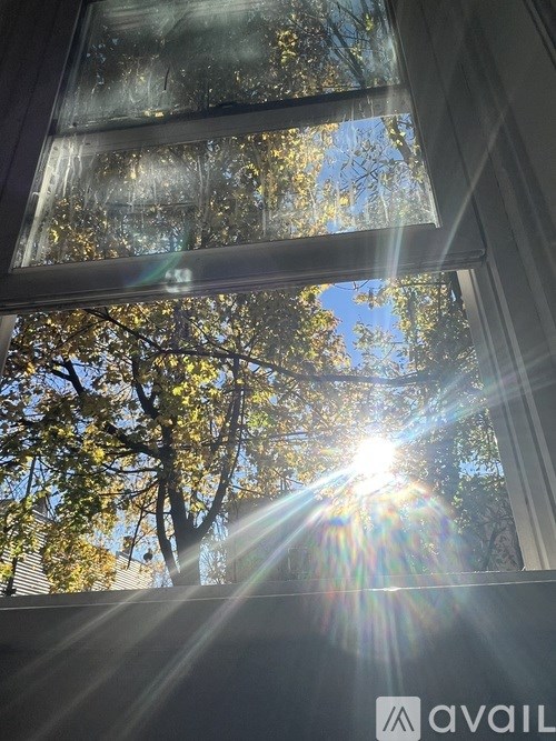 A room with wooden floors and a window on the left side.
