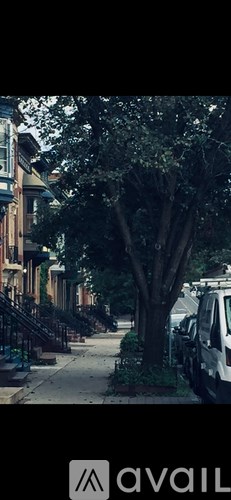 A tree in front of a row of houses.