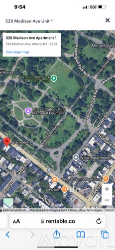 A tree with yellow leaves is on the left side of a street.